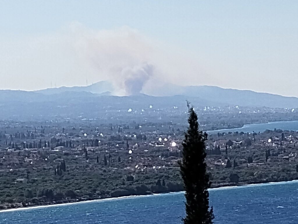Αιγιάλεια: Φωτιά κοντά σε σπίτια - Επέμβαση πυροσβεστικών δυνάμεων από Αίγιο και Πάτρα - Κάτοικοι στο Patrapress ΒΙΝΤΕΟ-ΦΩΤΟ (ΝΕΟΤΕΡΑ)