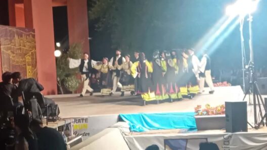 Πανεπιστημιακοί χώροι στο Φεστιβάλ Παραδοσιακών Χορών