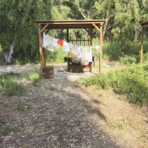 Αγυιά: Μπουγάζι και απλωμένη ρόχη