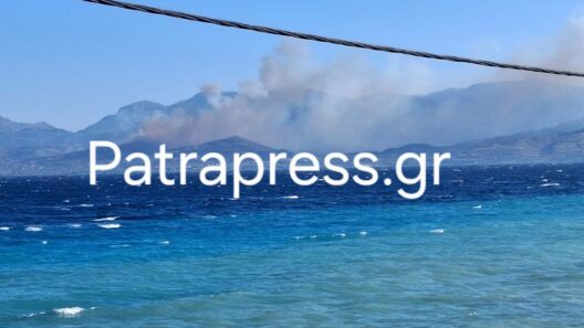 Αιγιάλεια: Φωτιά κοντά σε σπίτια - Πυροσβεστική και από την Πάτρα ΝΕΟΤΕΡΑ - ΦΩΤΟ