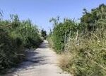 Καμίνια: Εντονα παράπονα για διαρροές νερού και σκουπίδια με ανακοίνωση «κοροϊδία» του δήμου   ΦΩΤΟ