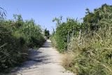 Καμίνια: Εντονα παράπονα για διαρροές νερού και σκουπίδια με ανακοίνωση «κοροϊδία» του δήμου ΦΩΤΟ 15 Καμίνια σκουπίδια με κοροϊδία