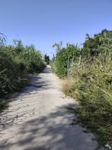 Καμίνια: Εντονα παράπονα για διαρροές νερού και σκουπίδια με ανακοίνωση «κοροϊδία» του δήμου ΦΩΤΟ 5 Καμίνια: Εντονα παράπονα για διαρροές νερού και σκουπίδια με ανακοίνωση «κοροϊδία» του δήμου ΦΩΤΟ