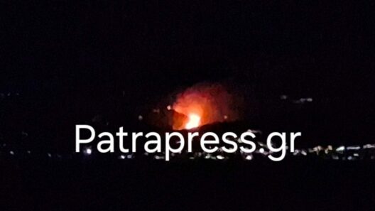 Αχαΐα: Καίει ασταμάτητα η φωτιά κοντά στο Αίγιο - Ολονύχτια μάχη των Πυροσβεστών - Κάτοικοι και Πολιτική Προστασία στο Patrapress ΒΙΝΤΕΟ-ΦΩΤΟ
