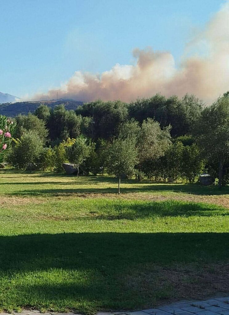 Αιγιάλεια: Φωτιά κοντά σε σπίτια - Επέμβαση πυροσβεστικών δυνάμεων από Αίγιο και Πάτρα - Κάτοικοι στο Patrapress ΒΙΝΤΕΟ-ΦΩΤΟ (ΝΕΟΤΕΡΑ)