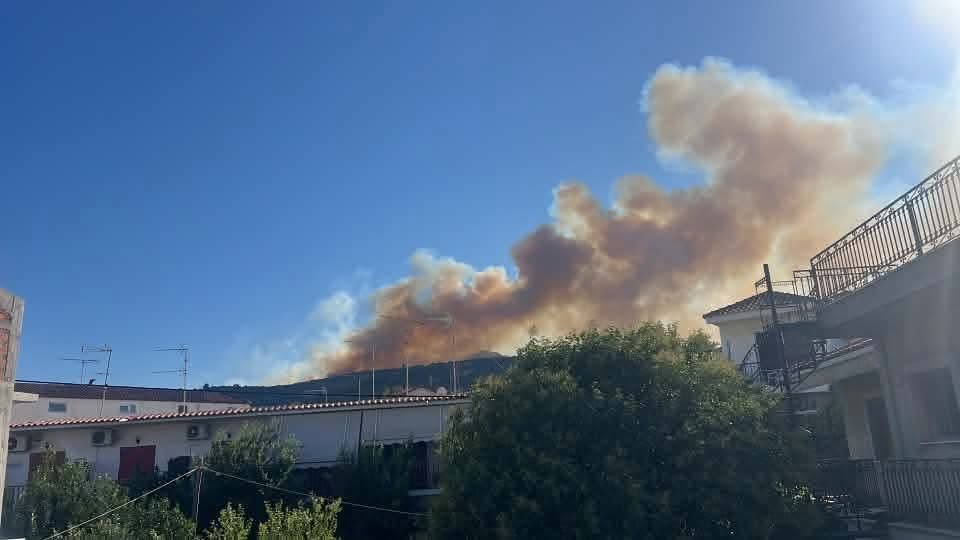 Αιγιάλεια: Φωτιά κοντά σε σπίτια - Επέμβαση πυροσβεστικών δυνάμεων από Αίγιο και Πάτρα - Κάτοικοι στο Patrapress ΒΙΝΤΕΟ-ΦΩΤΟ (ΝΕΟΤΕΡΑ)