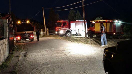 Καλάβρυτα: Πυρκαγιά κοντά σε σπίτια και δάσος στο Σούβαρδο από καλώδιο της ΔΕΗ – Παράδειγμα ψυχής 17χρονος ΒΙΝΤΕΟ-ΦΩΤΟ