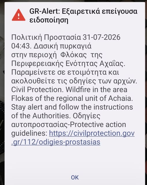 Αχαΐα: Φωτιά σε δάσος του Φλόκα - Ισχυρές δυνάμεις στο σημείο - Ήχησε το 112 για εκκένωση οικισμών ΒΙΝΤΕΟ