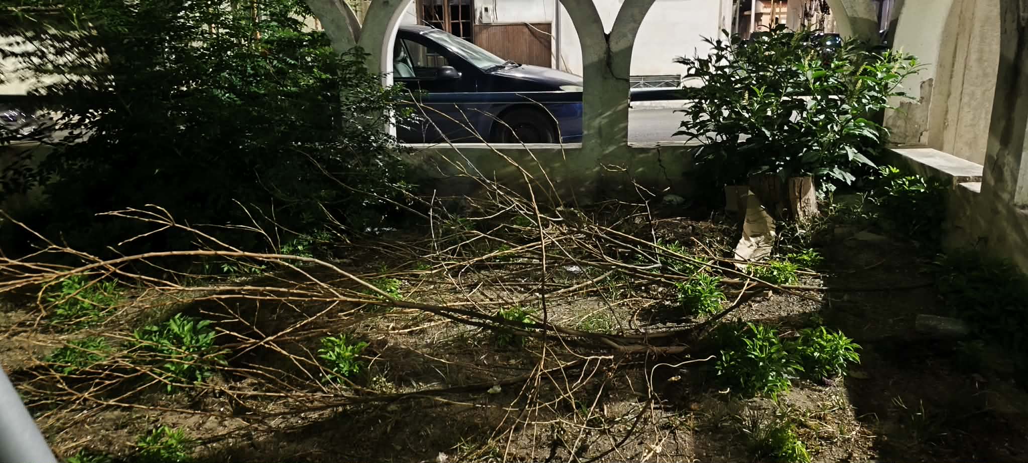 Πάτρα: Παιδική χαρά-«παγίδα» στην καρδιά της πόλης με σκουπίδια κι αγριόχορτα - Εικόνες ντροπής