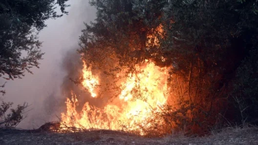 Δασική πυρκαγιά με έντονες φλόγες και καπνό να ανεβαίνουν ανάμεσα …