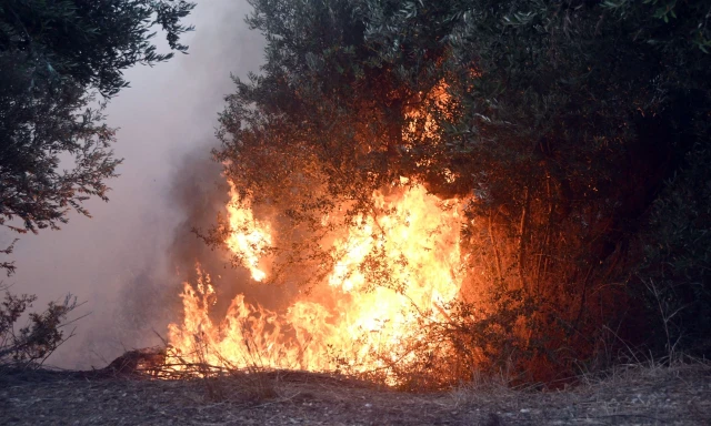Δασική πυρκαγιά με έντονες φλόγες και καπνό να ανεβαίνουν ανάμεσα …