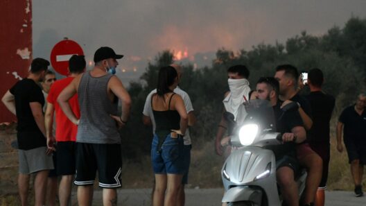 Πάτρα: Απαγόρευση κυκλοφορίας λόγω υψηλού κινδύνου εκδήλωσης πυρκαγιών - Αναλυτικά οι περιοχές 12 Πάτρα: Απαγόρευση κυκλοφορίας λόγω υψηλού κινδύνου εκδήλωσης πυρκαγιών - Αναλυτικά οι περιοχές