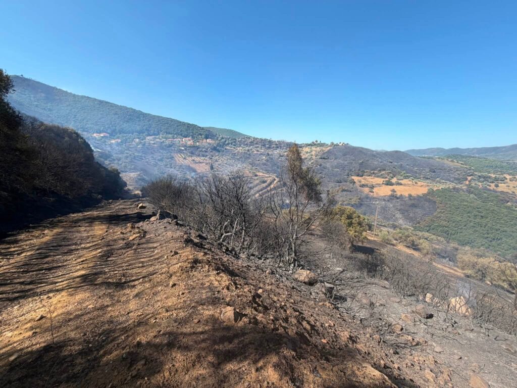 Δυτική Αχαΐα: Σε κατάσταση συναγερμού μετά την μεγάλη πυρκαγιά - Καρέ καρέ η μάχη στο πύρινο μέτωπο ΒΙΝΤΕΟ-ΦΩΤΟ