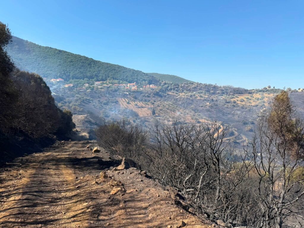 Δυτική Αχαΐα: Σε κατάσταση συναγερμού μετά την μεγάλη πυρκαγιά - Καρέ καρέ η μάχη στο πύρινο μέτωπο ΒΙΝΤΕΟ-ΦΩΤΟ