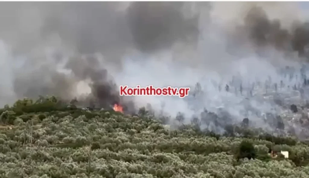 Πυρκαγιά στο Σπαθοβούνι Κορινθίας - Ηχησε το «112» ΝΕΟΤΕΡΑ - ΦΩΤΟ 29 Πυρκαγιά στο Σπαθοβούνι Κορινθίας - Ηχησε το «112» ΝΕΟΤΕΡΑ - ΦΩΤΟ
