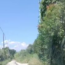 Μποζαΐτικα: «Θα καούμε ζωντανοί» φωνάζουν κάτοικοι για τα ακαθάριστα οικόπεδα ΒΙΝΤΕΟ