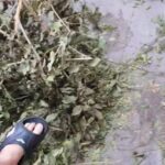 Αίγιο: Ξεχασμένα κλαδιά εμποδίζουν πεζούς που τα βάζουν με τον δήμαρχο ΒΙΝΤΕΟ-ΦΩΤΟ