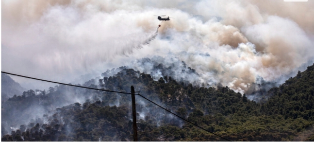 Δυτική Αχαΐα: Σε κατάσταση συναγερμού μετά την μεγάλη πυρκαγιά - Καρέ καρέ η μάχη στο πύρινο μέτωπο ΒΙΝΤΕΟ-ΦΩΤΟ 10 Δυτική Αχαΐα: Σε κατάσταση συναγερμού μετά την μεγάλη πυρκαγιά - Καρέ καρέ η μάχη στο πύρινο μέτωπο ΒΙΝΤΕΟ-ΦΩΤΟ