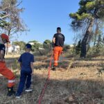 Το Σωματείο Εθελοντών Πυροσβεστών Αχαΐας σε δενδροφύτευση, στο Γηροκομείο ΦΩΤΟ