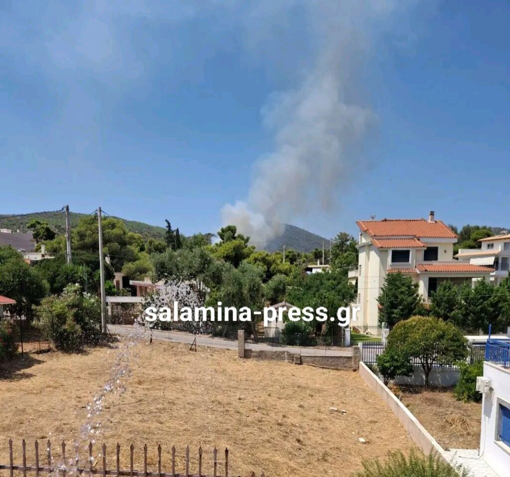 Σαλαμίνα: Φωτιά με «112» για απομάκρυνση πολιτών ΦΩΤΟ-ΝΕΟΤΕΡΑ 5 Σαλαμίνα: Φωτιά με «112» για απομάκρυνση πολιτών ΦΩΤΟ-ΝΕΟΤΕΡΑ