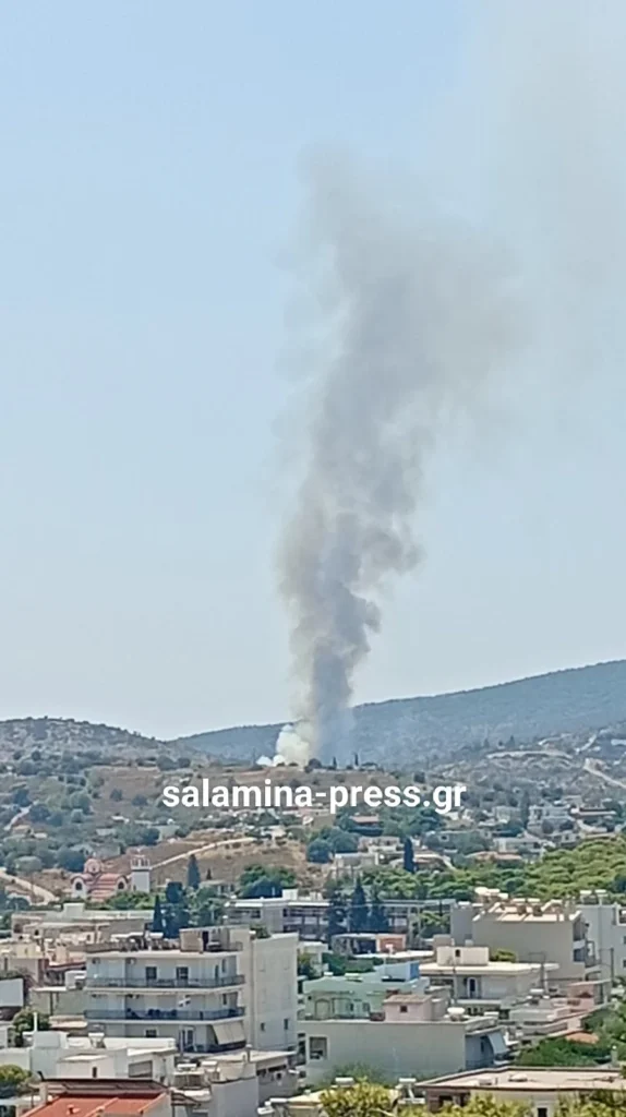 Σαλαμίνα: Φωτιά με «112» για απομάκρυνση πολιτών ΦΩΤΟ-ΝΕΟΤΕΡΑ 6 Σαλαμίνα: Φωτιά με «112» για απομάκρυνση πολιτών ΦΩΤΟ-ΝΕΟΤΕΡΑ