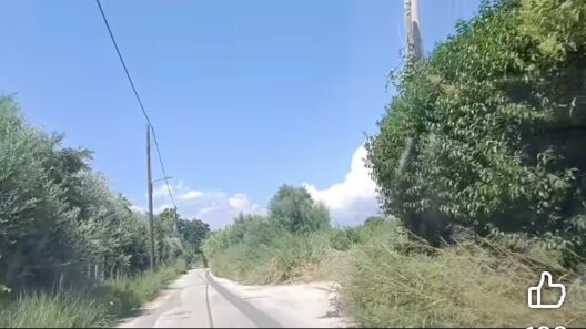 Πάτρα: Αγωνία κατοίκων στα Μποζαΐτικα - «Θα καούμε ζωντανοί...» BINTEO 12 Πάτρα: Αγωνία κατοίκων στα Μποζαΐτικα - «Θα καούμε ζωντανοί...» BINTEO