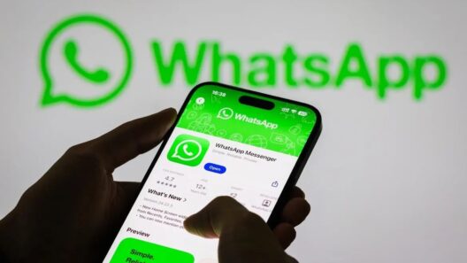 Μεγάλη αλλαγή στο WhatsApp: Τέλος στους αριθμούς τηλεφώνου – Έρχονται τα usernames 36 Μεγάλη αλλαγή στο WhatsApp: Τέλος στους αριθμούς τηλεφώνου – Έρχονται τα usernames