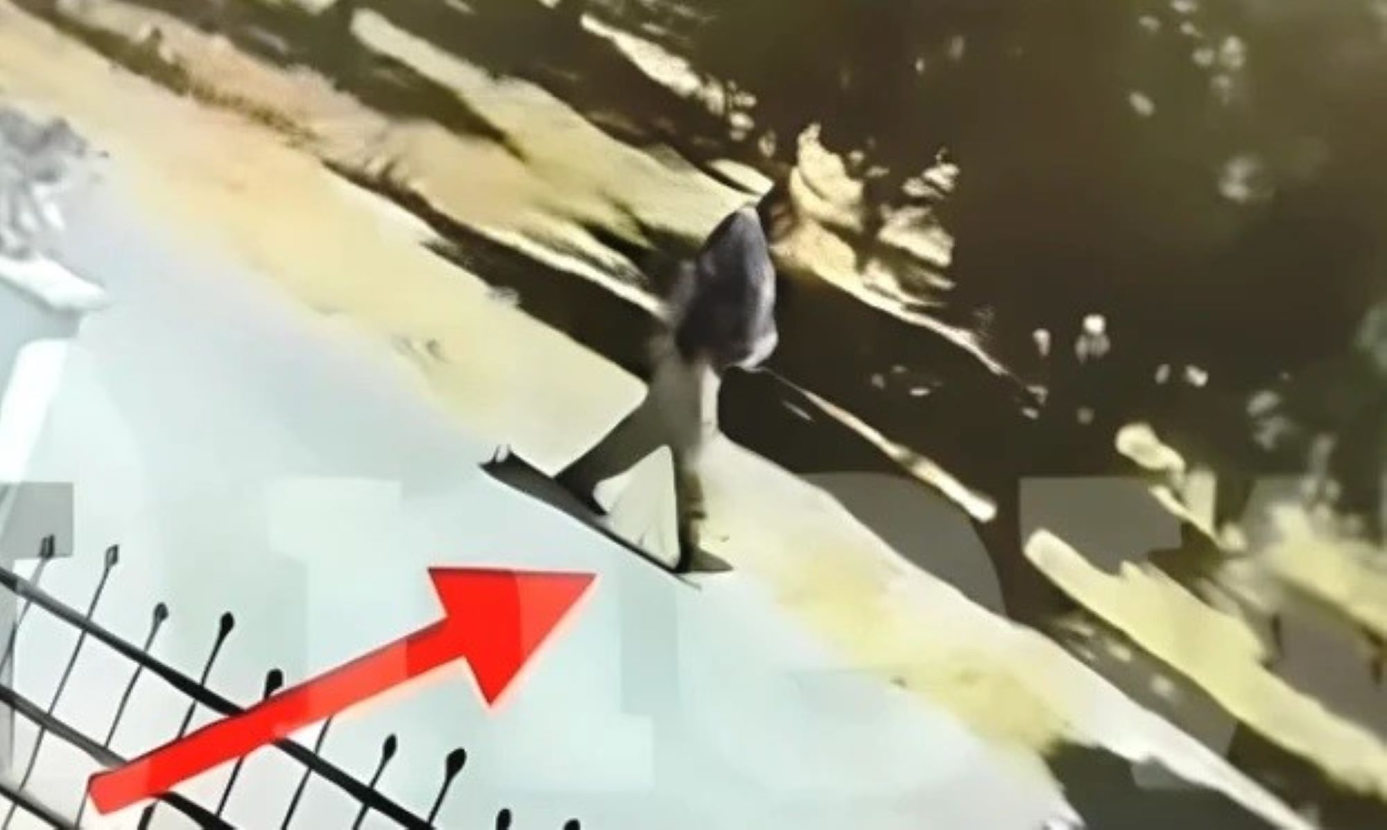 Αγρίνιο: Στη φυλακή ο κατά συρροή εμπρηστής - «Ημουν μεθυσμένος»