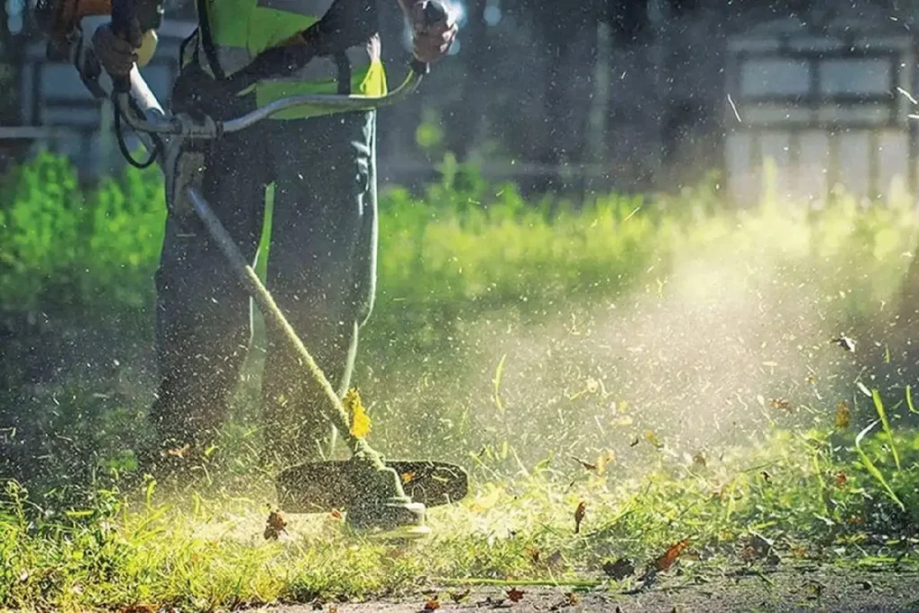 Αχαΐα: Ο απολογισμός καθαρισμών, ελέγχων και προστίμων για οικόπεδα και σκουπίδια σε Πάτρα και Αίγιο - Αντιδήμαρχοι στο Patrapress