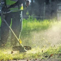 Αχαΐα: Ο απολογισμός καθαρισμών, ελέγχων και προστίμων για οικόπεδα και σκουπίδια σε Πάτρα και Αίγιο - Αντιδήμαρχοι στο Patrapress 3 Αχαΐα: Ο απολογισμός καθαρισμών, ελέγχων και προστίμων για οικόπεδα και σκουπίδια σε Πάτρα και Αίγιο - Αντιδήμαρχοι στο Patrapress