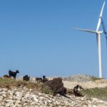 Αχαΐα: Μαίνεται ο αγώνας για την μη κατασκευή «καταστροφικού» Αιολικού Σταθμού στο Παναχαϊκό
