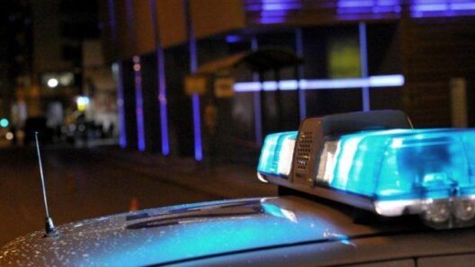 Πάτρα: Εξαρθρώθηκε συμμορία στον Ριγανόκαμπο - Είχε «χτυπήσει» 25 σπίτια, ληστεία και εμπρησμό