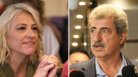 ΣΥΡΙΖΑ: Η Δούρου «απαντά» στον Πολάκη για την ηγεσία 12 ΣΥΡΙΖΑ: Η Δούρου «απαντά» στον Πολάκη για την ηγεσία
