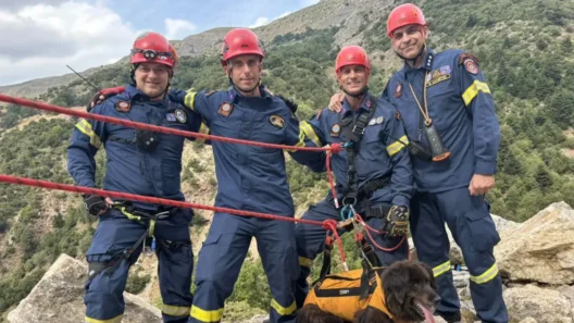 Διάσωσης σκυλίτσας στο Παναχαμάκο