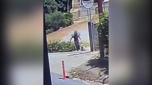 Άστρος: Φόβοι σκόλων σε κάθε απορριμματοφόρο με συρμάτωση