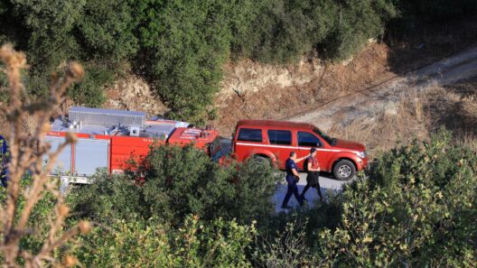 Τζουμέρκα: Μεγάλη επιχείρηση διάσωσης για πεζοπόρο που χάθηκε σε δύσβατο σημείο 40 Εγκατάλειψη πεζοπορίου στη Χάνια