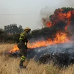 Γαλλία-Ισπανία: Εικόνες καταστροφής από τις πυρκαγιές με 950.000 στρ. στάχτη ΦΩΤΟ