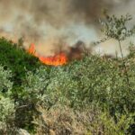 Έβρος: Χωρίς ενεργό μέτωπο η φωτιά