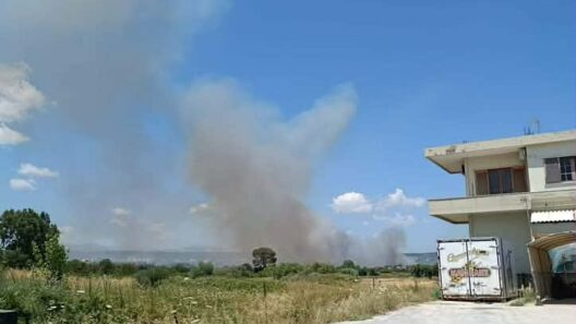 Πυρκαγιά στην Εύβοια