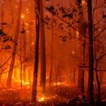 Ισπανία: Μάχη με τις φωτιές γύρω από Μαδρίτη και Βαλένθια – Η έκκληση Σάντσεθ