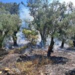 Οριοθετήθηκε η φωτιά στη Κέρκυρα ΦΩΤΟ - ΒΙΝΤΕΟ