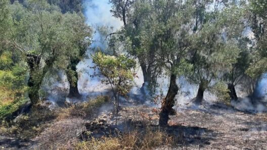 Φωτιά στην Κέρκυρα