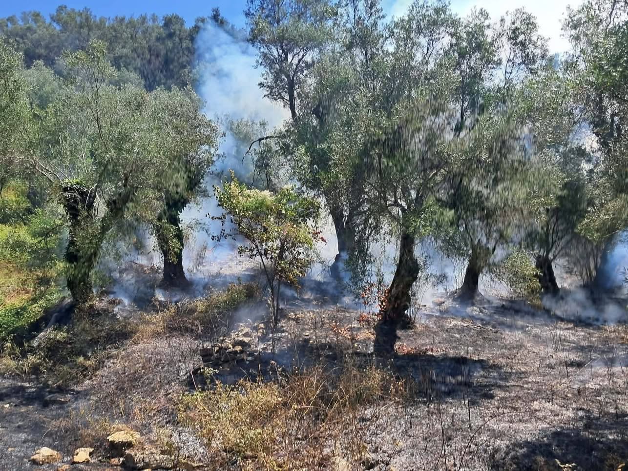Οριοθετήθηκε η φωτιά στη Κέρκυρα ΦΩΤΟ - ΒΙΝΤΕΟ 4 Φωτιά στην Κέρκυρα
