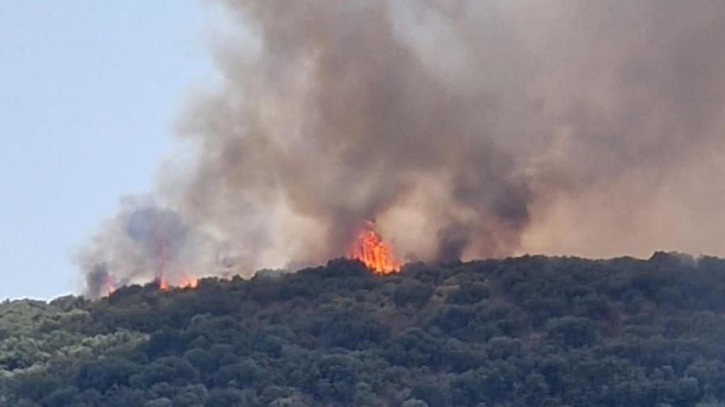 Φωτιά στον Αγερανό Λακωνίας: Ενισχύθηκαν οι δυνάμεις, 112 για ετοιμότητα BINTEO