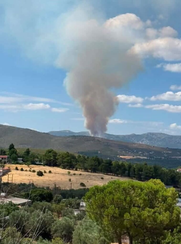 Πυρκαγιά στην Οινόη Αττικής, ήχησε το «112» - Πού έχει διακοπεί η κυκλοφορία ΦΩΤΟ - ΒΙΝΤΕΟ ΝΕΟΤΕΡΑ 7 Πυρκαγιά στην Οινόη Αττικής, ήχησε το «112» - Πού έχει διακοπεί η κυκλοφορία ΦΩΤΟ - ΒΙΝΤΕΟ ΝΕΟΤΕΡΑ