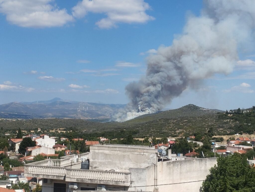 Πυρκαγιά στην Οινόη Αττικής, ήχησε το «112» - Πού έχει διακοπεί η κυκλοφορία ΦΩΤΟ - ΒΙΝΤΕΟ ΝΕΟΤΕΡΑ 5 Πυρκαγιά στην Οινόη Αττικής, ήχησε το «112» - Πού έχει διακοπεί η κυκλοφορία ΦΩΤΟ - ΒΙΝΤΕΟ ΝΕΟΤΕΡΑ
