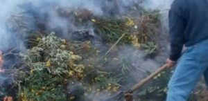 Αχαΐα: Βαρύ πρόστιμο άνω των 2.500 ευρώ για φωτιά στην ύπαιθρο