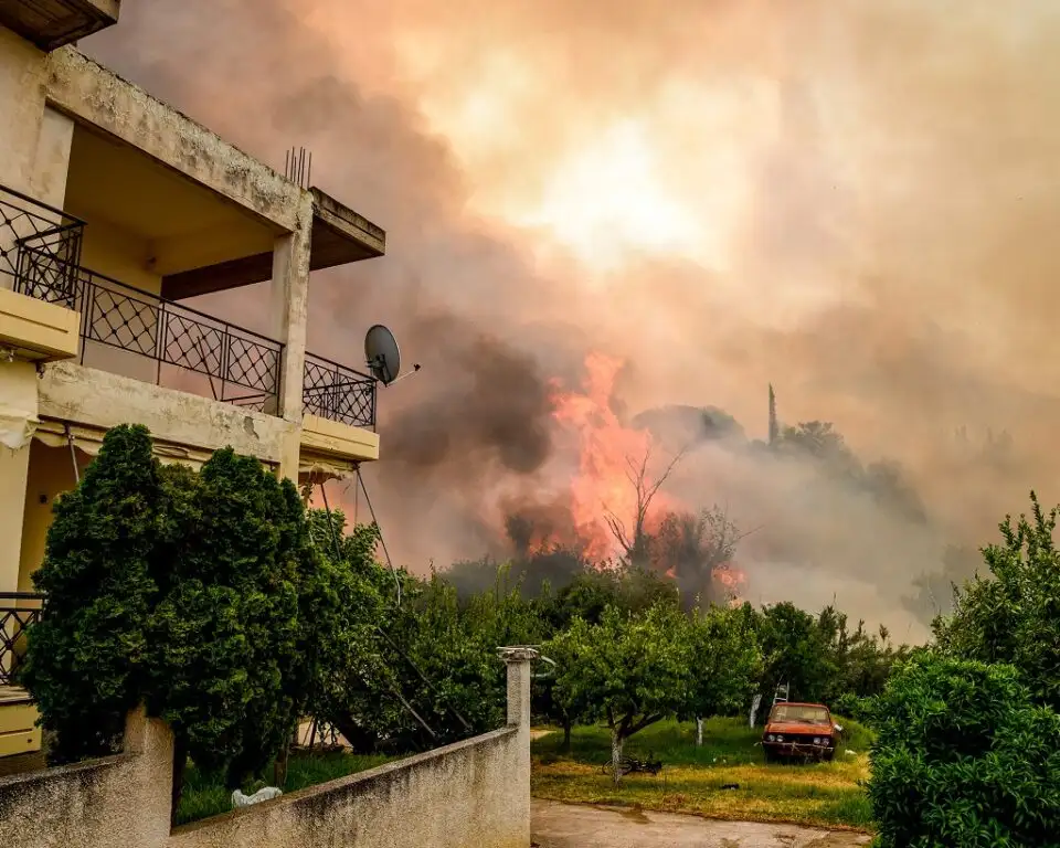 Συχαινά: Πυρκαγιά στο ίδιο σημείο με πέρυσι ΦΩΤΟ 6 Συχαινά: Πυρκαγιά στο ίδιο σημείο με πέρυσι ΦΩΤΟ