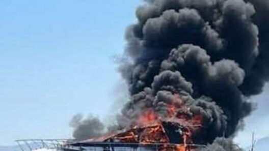 Η ΠΕΠΙΕΘ και ο Γ. Βάλλης για τη φωτιά σε σκάφος στη Βουλιαγμένη ΦΩΤΟ - ΒΙΝΤΕΟ