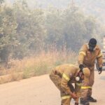 Δυτική Αχαΐα: Συνεχείς αναζωπυρώσεις στη μεγάλη φωτιά - Τι λένε στο Patrapress ο διοικητής της Πυροσβεστικής και ο αντιδήμαρχος Πολιτικής Προστασίας στο ΒΙΝΤΕΟ-ΦΩΤΟ (ΝΕΟΤΕΡΑ)
